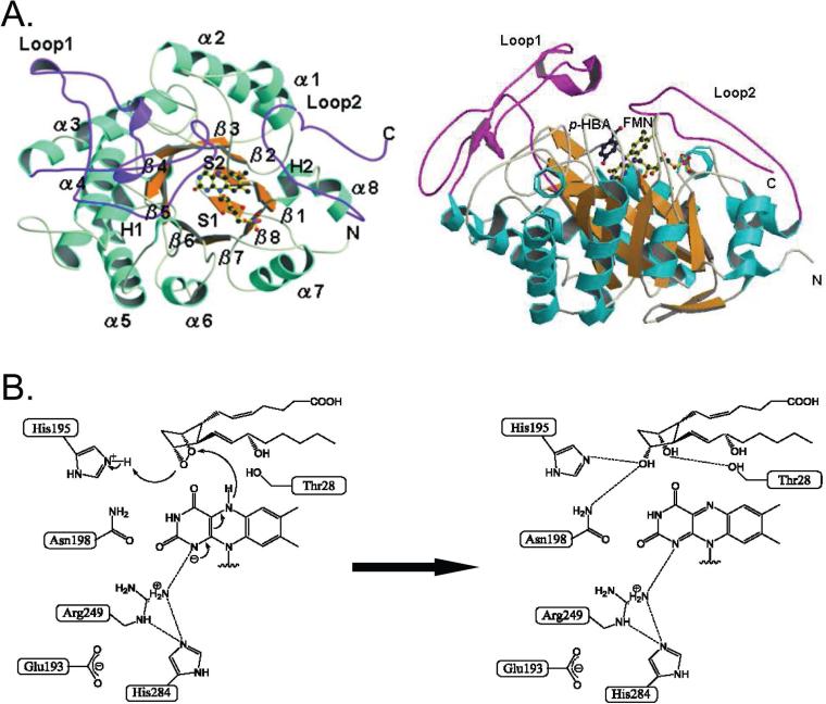 Figure 31