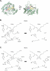 Figure 29