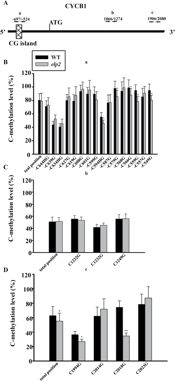 Fig. 9.