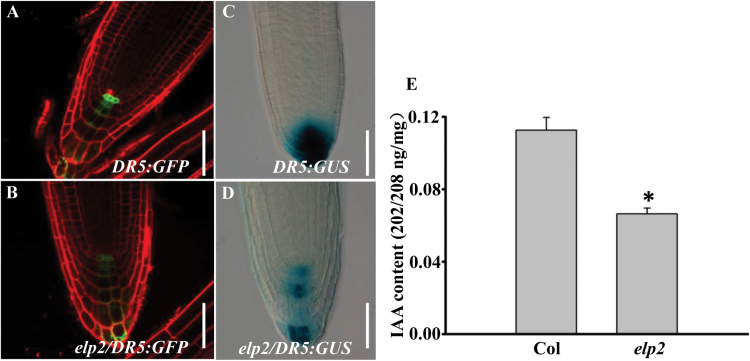 Fig. 6.