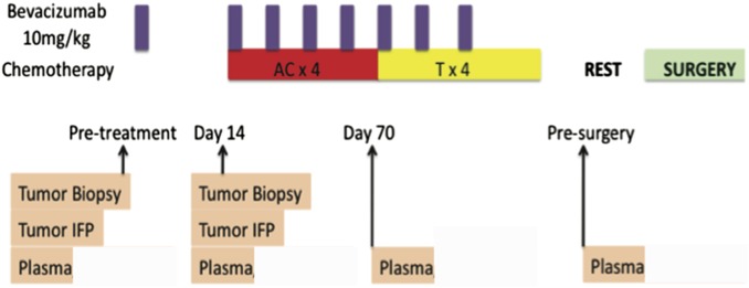 Fig. S1.