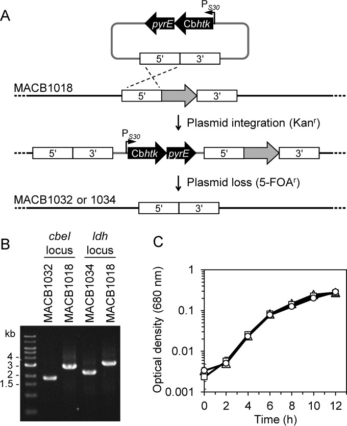 FIG 4