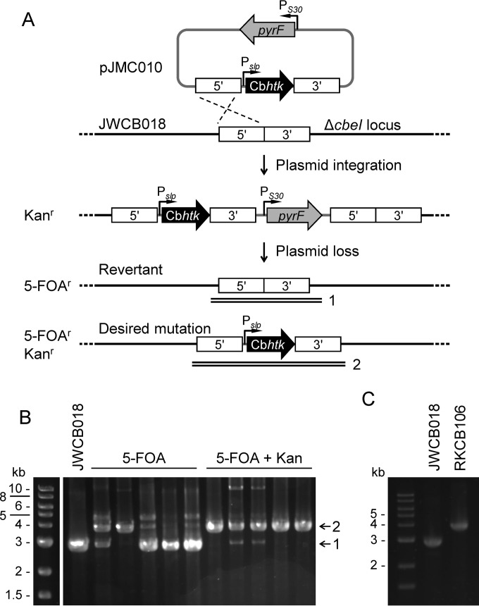 FIG 2