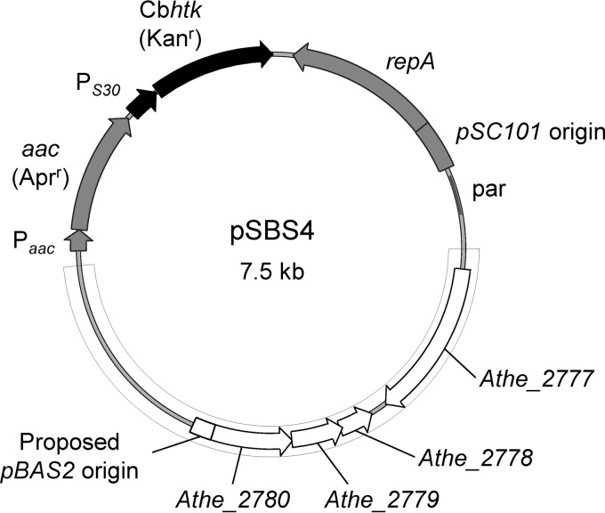 FIG 1