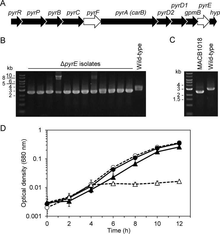 FIG 3