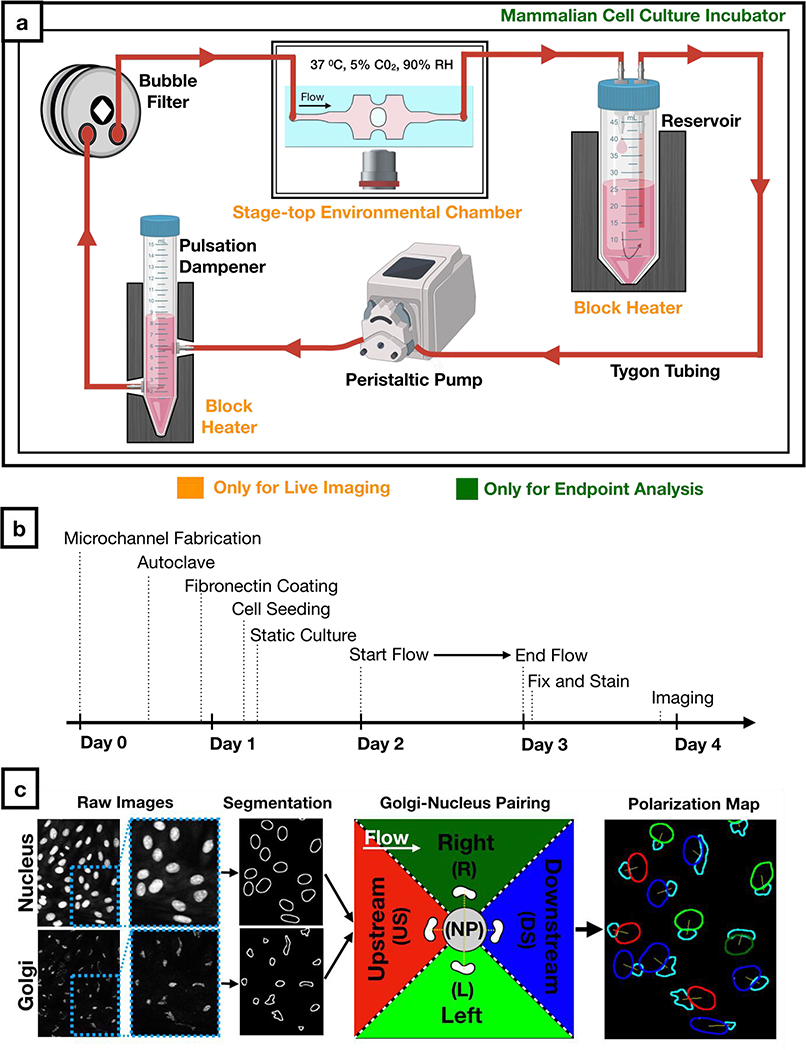 Figure 3: