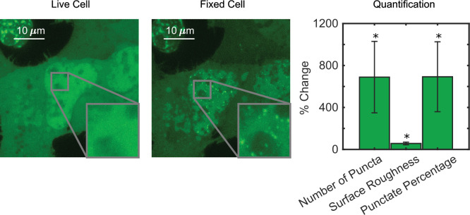 Figure 1—figure supplement 4.