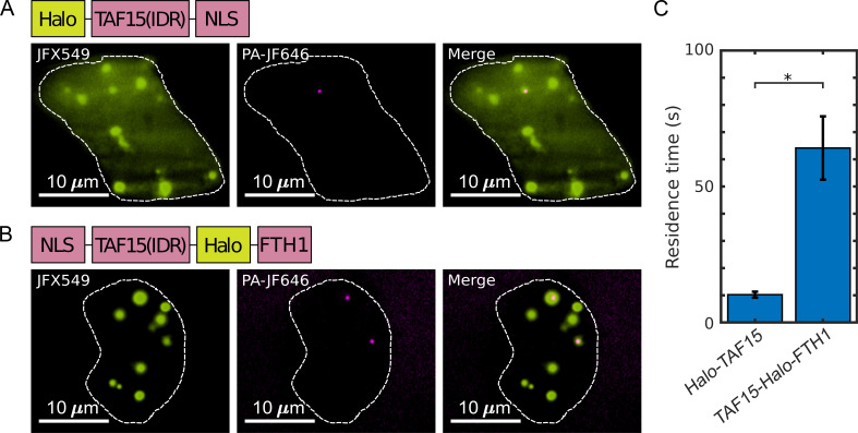 Figure 6.