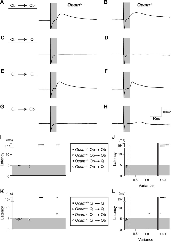 Fig 10