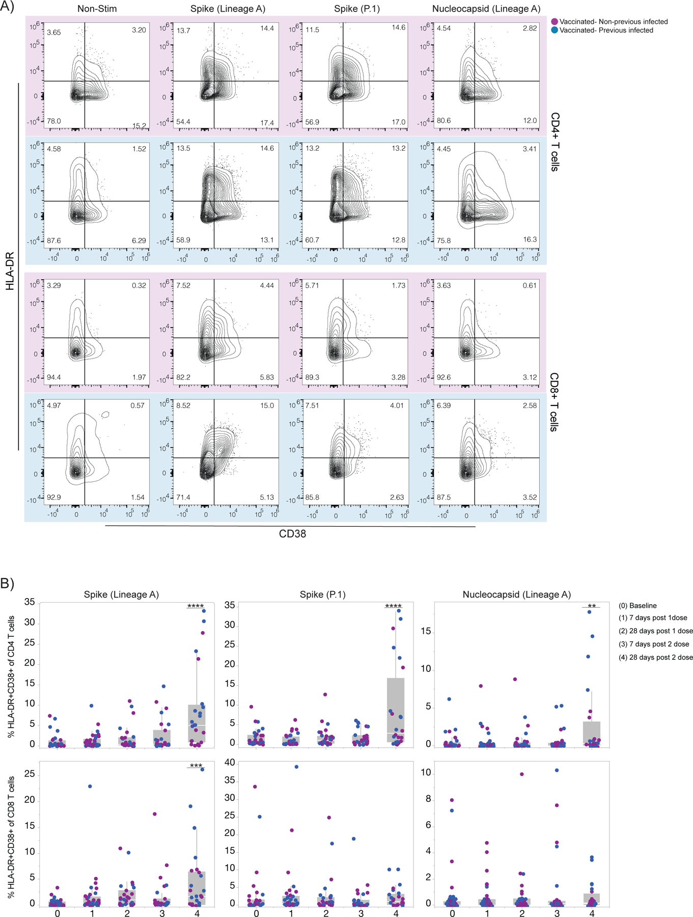 Figure 2 |