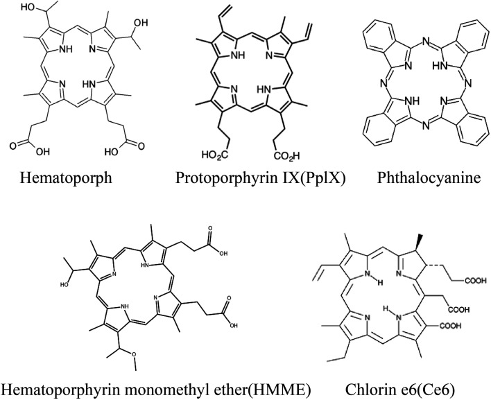 Fig. 2