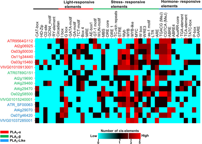 Figure 4