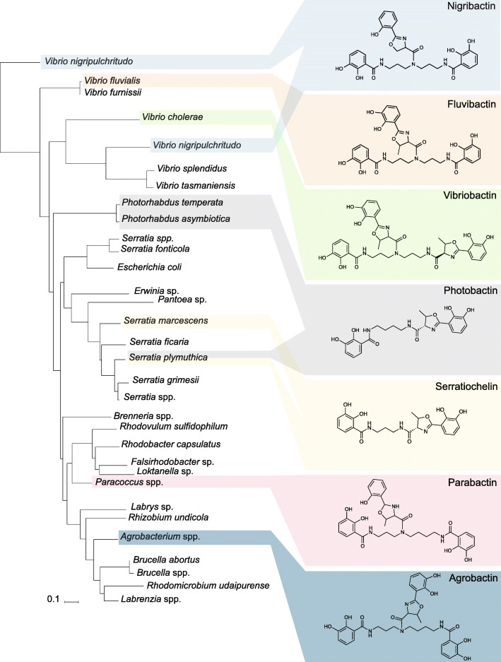 Fig. 7