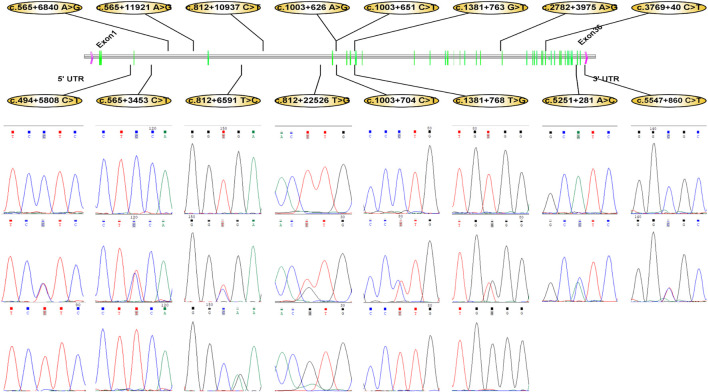 FIGURE 3