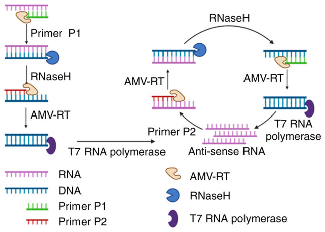 Figure 6.