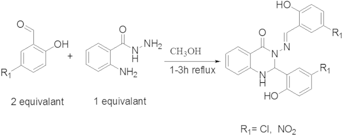 Figure 12