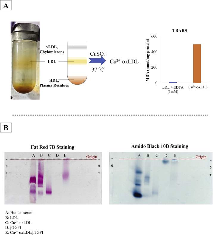 Figure 4