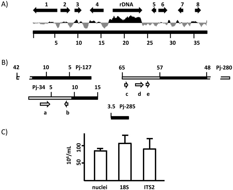 FIG 1 