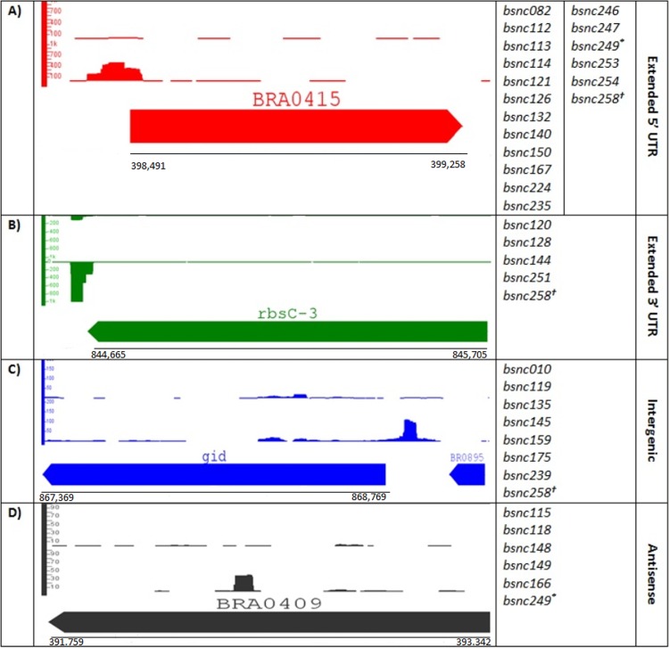 FIG 3