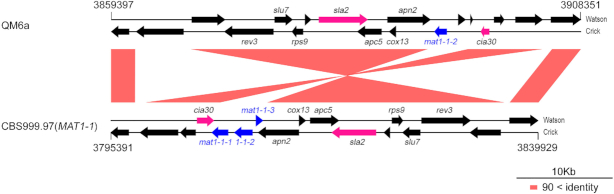 Figure 3.