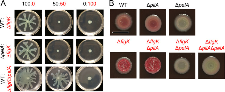 FIG 4