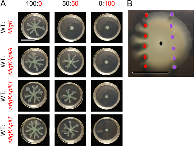 FIG 3