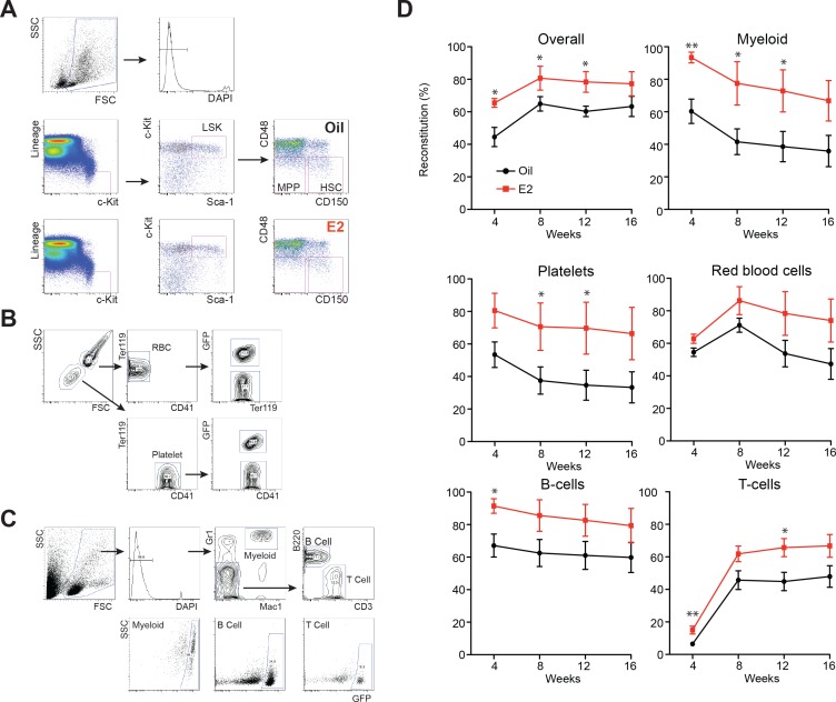 Figure 1—figure supplement 1.