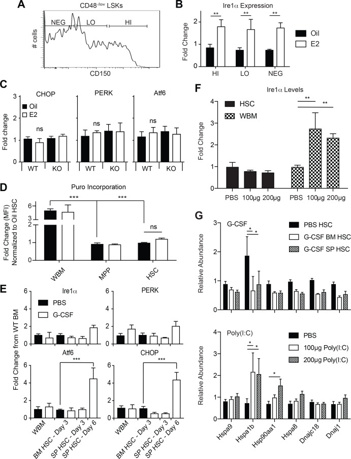 Figure 4—figure supplement 2.