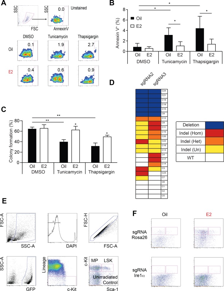 Figure 6—figure supplement 1.