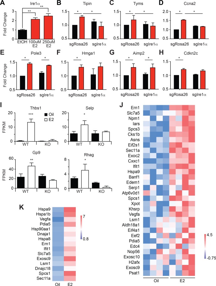 Figure 4—figure supplement 1.