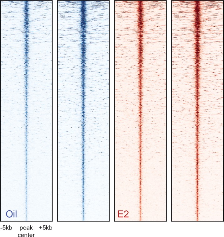 Figure 5—figure supplement 1.