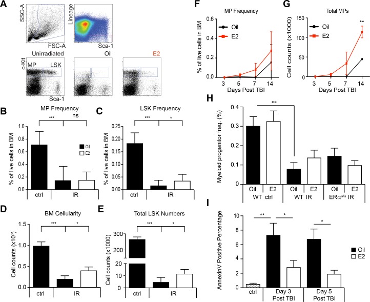 Figure 3—figure supplement 1.