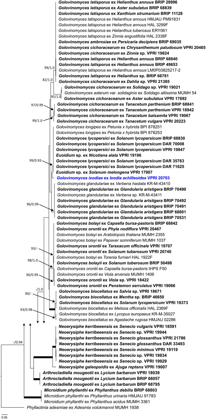 Figure 10