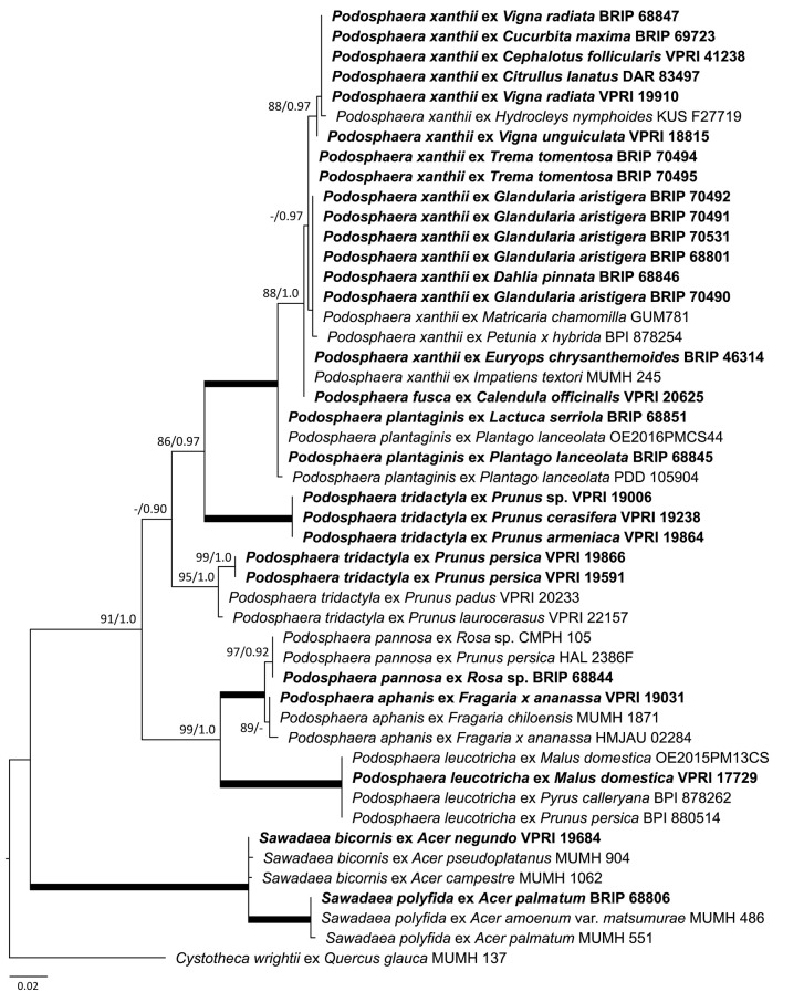 Figure 11