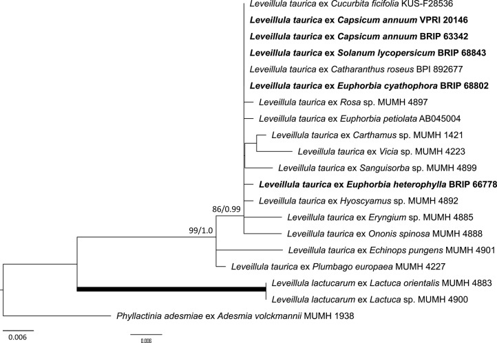 Figure 12