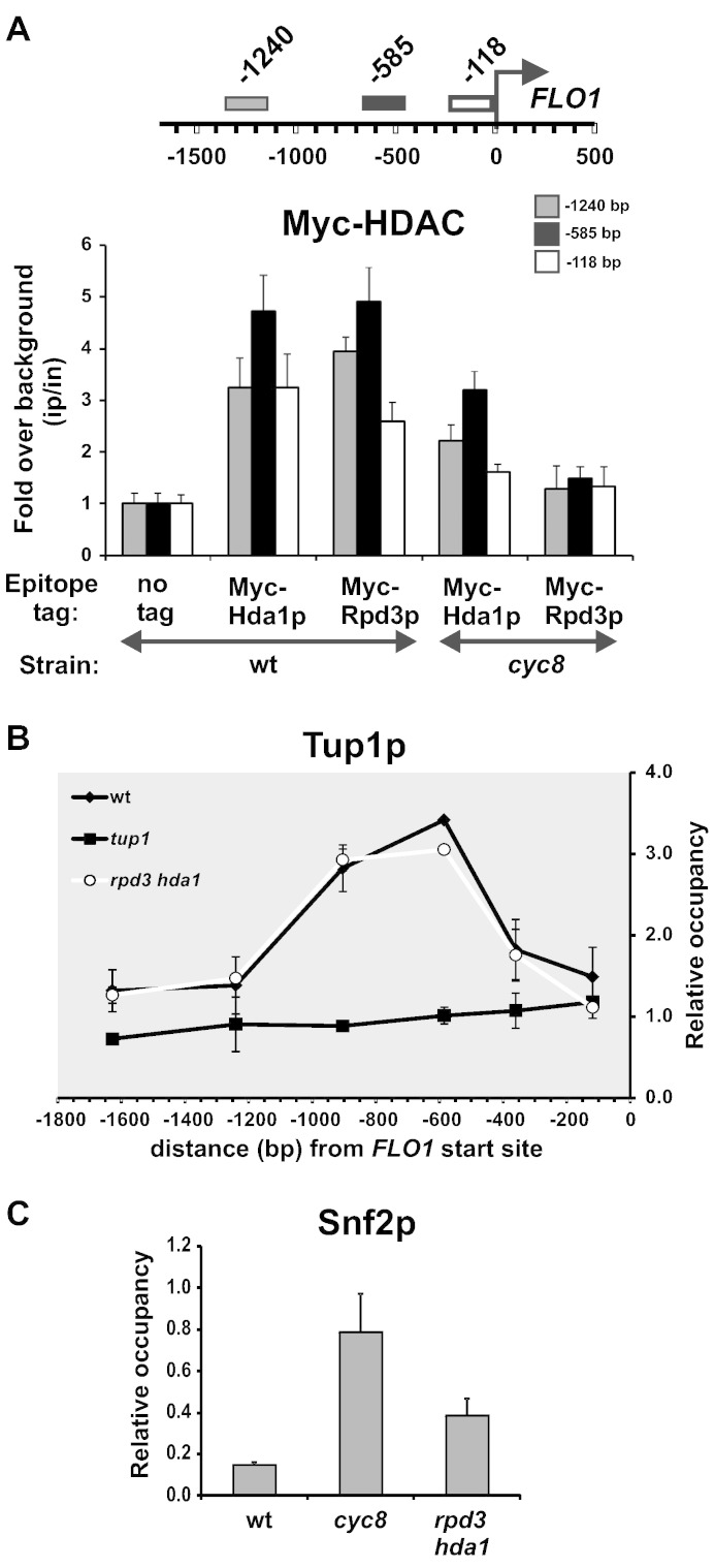 Fig. 7