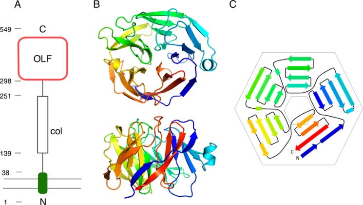 FIGURE 1.