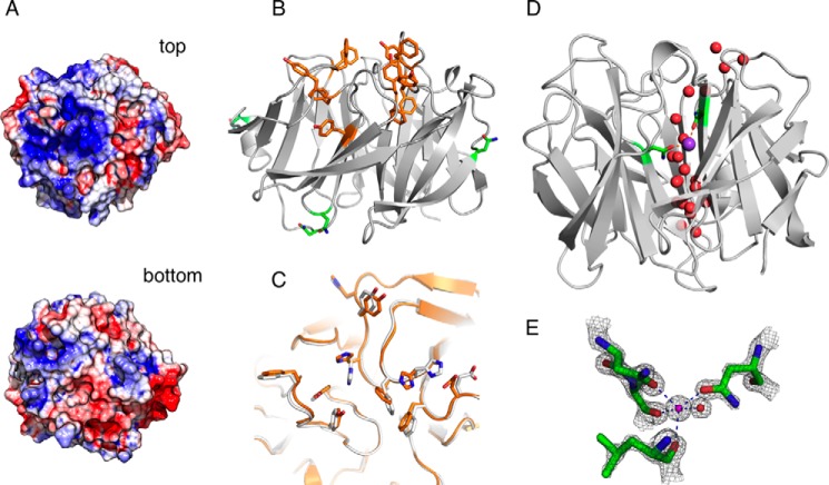 FIGURE 3.