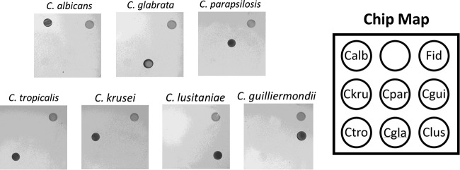 FIG 2