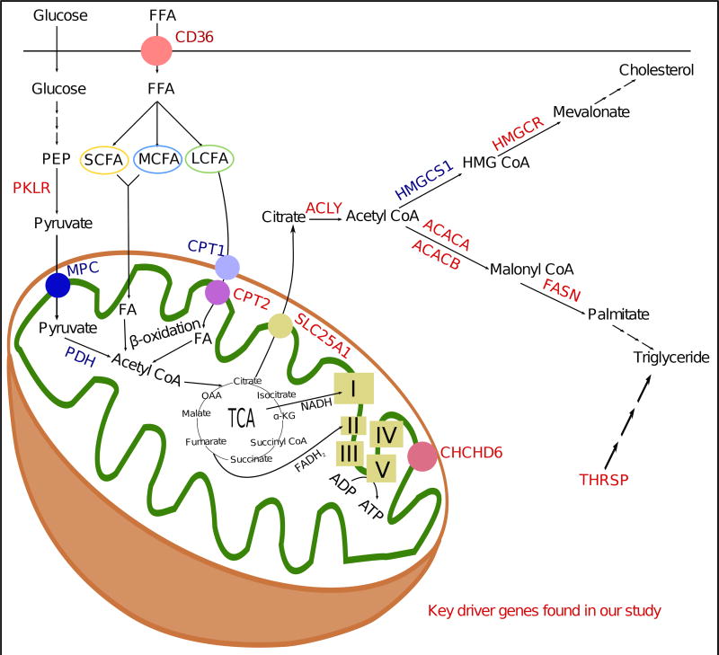 Figure 7