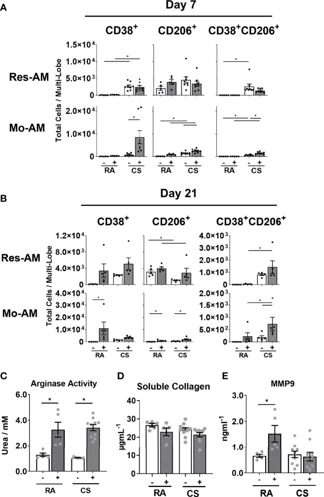 Figure 6