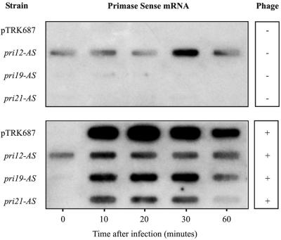 FIG. 5.