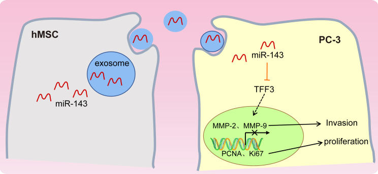 Figure 7