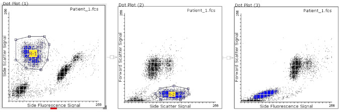 Fig. 4