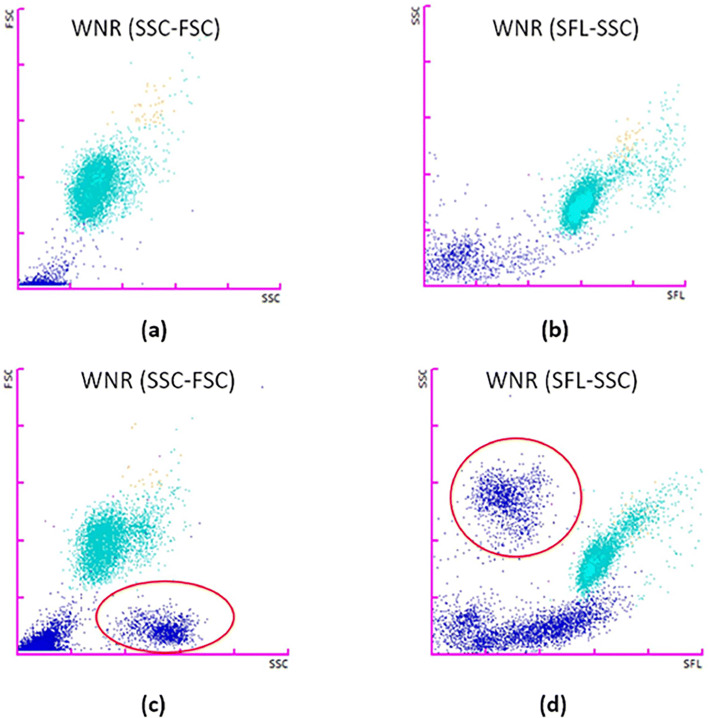 Fig. 3