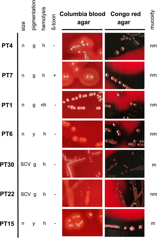 FIG 1