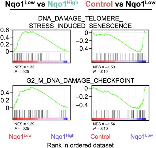 Figure 11