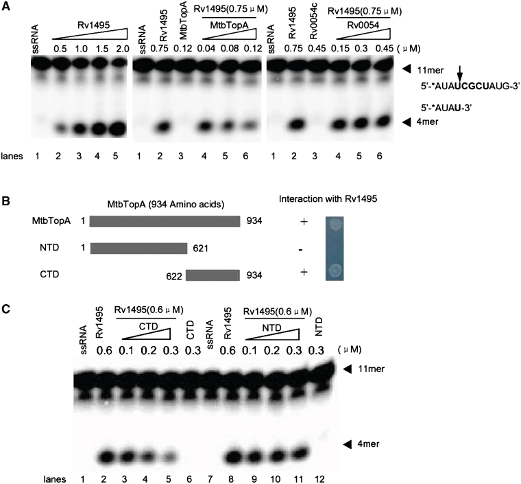 Figure 4.