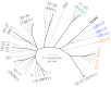 Fig. 3.