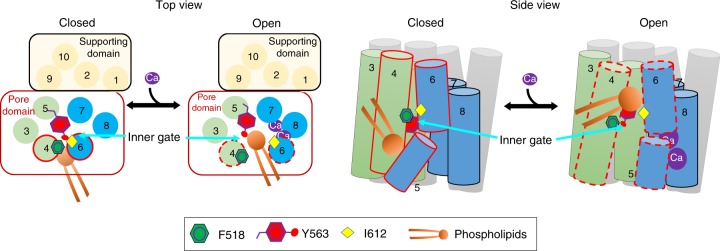 Fig. 7